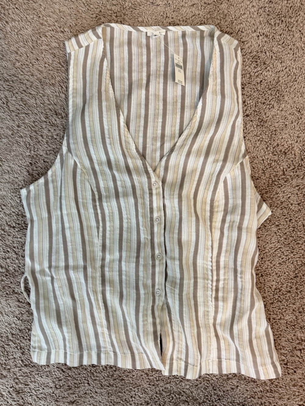 aerie Striped Sleeveless Button-Front Top in Beige and White